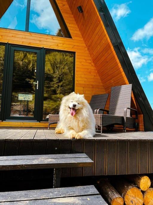 Macko'S Cabin Бэиле-Тушнад Экстерьер фото